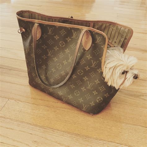 lv dog house|Louis Vuitton's Luxury Dog Line: A Paw.